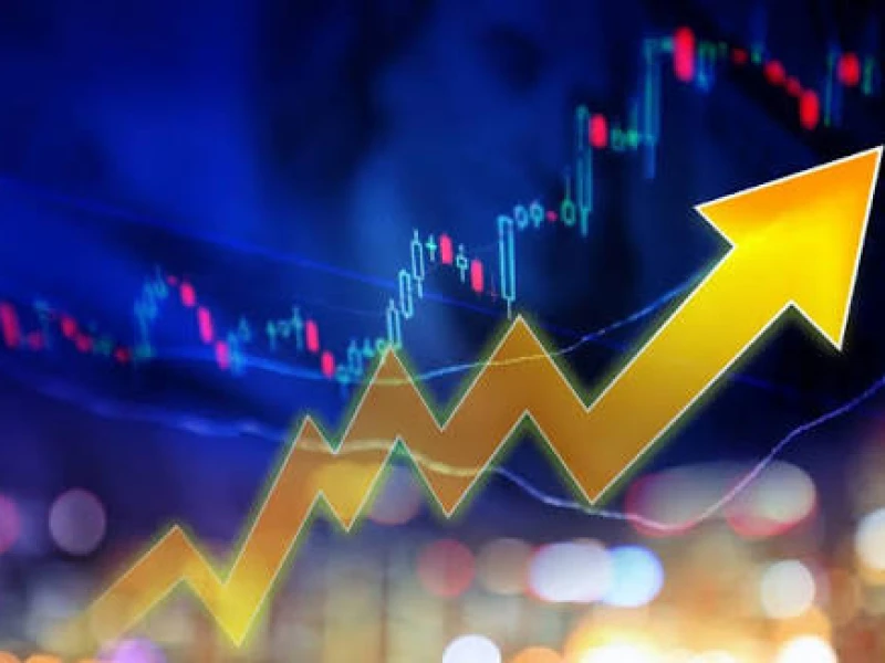 Stocks rise in early trade on DSE, fall on CSE